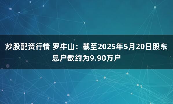 炒股配资行情 罗牛山：截至2025年5月20日股东总户数约为9.90万户