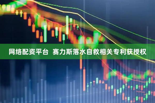 网络配资平台  赛力斯落水自救相关专利获授权
