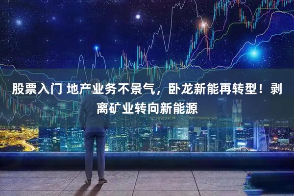股票入门 地产业务不景气，卧龙新能再转型！剥离矿业转向新能源